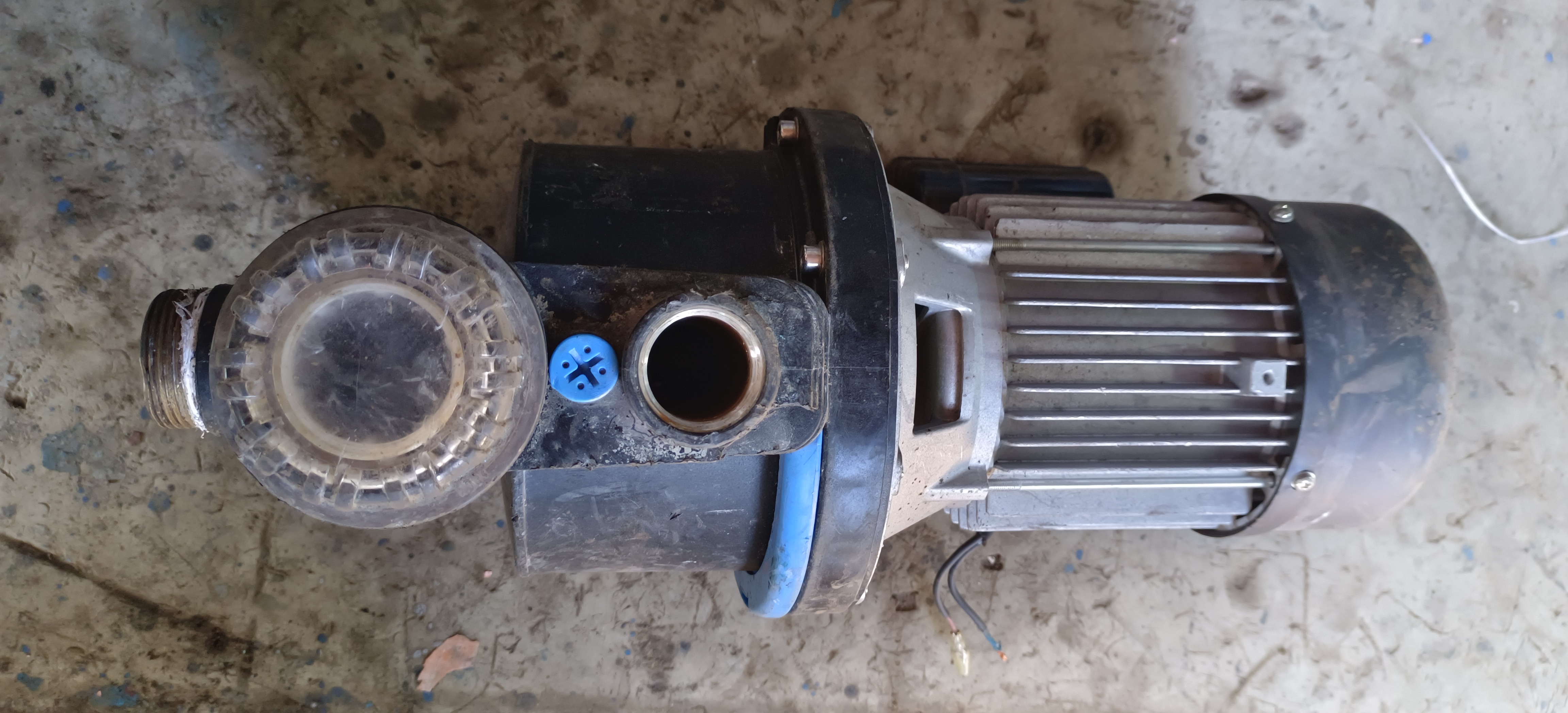 1 HP swimming pool pump self-priming 220V single phase with transparent strainer basket – Standard Machinery